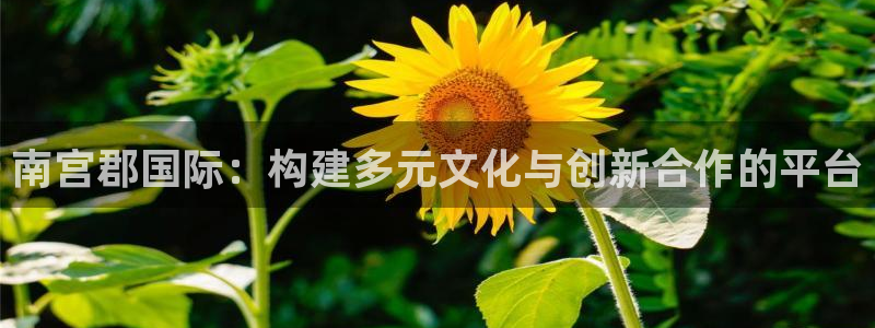 门徒娱乐是正规平台吗：南宫郡国际：构建多元文化与创新合作的平台