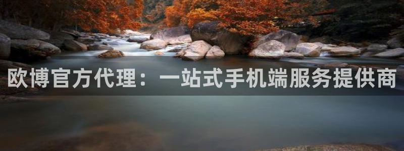 福建门徒娱乐机电股份公司：欧博官方代理：一站式手机端服务提供商