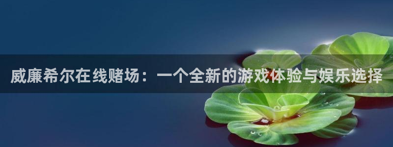 门徒娱乐体育官网登录：威廉希尔在线赌场：一个全新的游戏体验与娱乐选择