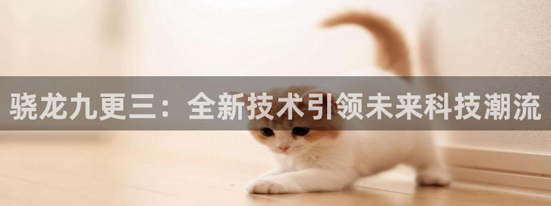 门徒娱乐游戏官网入口：骁龙九更三：全新技术引领未来科技潮流