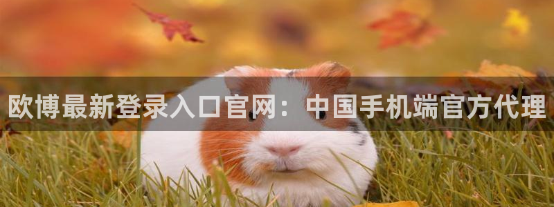 门徒娱乐体育官网入口登录：欧博最新登录入口官网：中国手机端官方代理