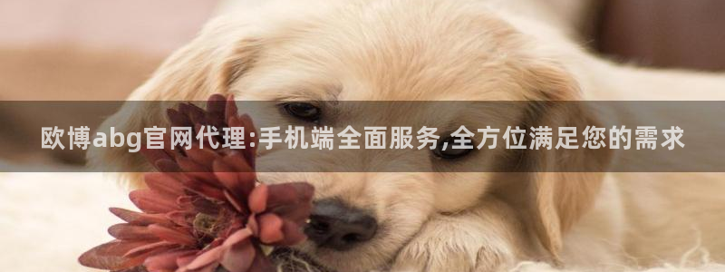 门徒娱乐哪个游戏好爆：欧博abg官网代理:手机端全面服务,全方位满足您的需求