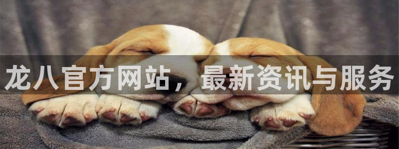 门徒娱乐5：龙八官方网站，最新资讯与服务