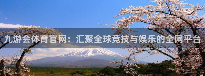 门徒娱乐体育3在线注册：九游会体育官网：汇聚全球竞技与娱乐的全网平台