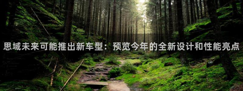 门徒娱乐招商：思域未来可能推出新车型：预览今年的全新设计和性能亮点