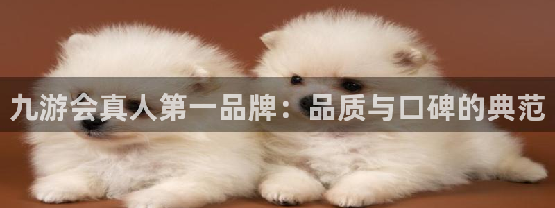 门徒娱乐体育eon：九游会真人第一品牌：品质与口碑的典范