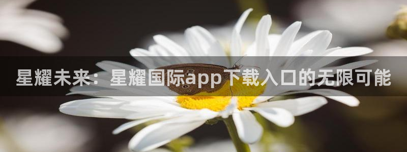 门徒娱乐链接：星耀未来：星耀国际app下载入口的无限可能