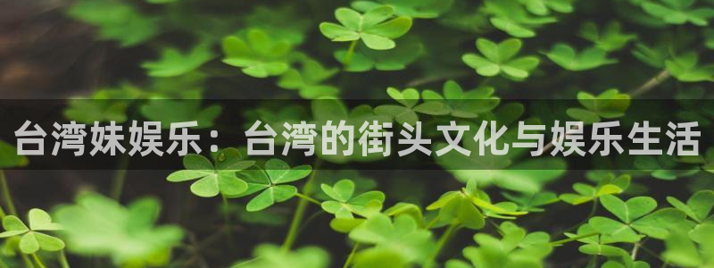 门徒娱乐平台链接：台湾妹娱乐：台湾的街头文化与娱乐生活