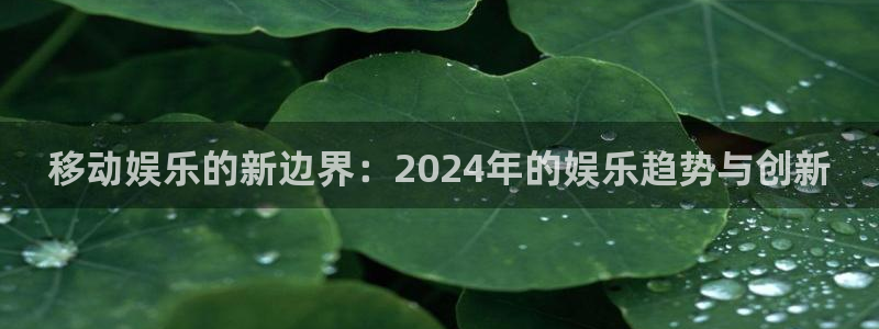 上海门徒娱乐汽车电子有限公司：移动娱乐的新边界：2024年的娱乐趋势与创新