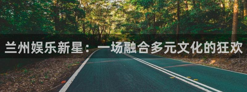 门徒娱乐游戏官网平台：兰州娱乐新星：一场融合多元文化的狂欢
