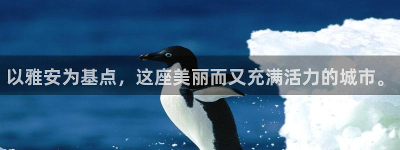 门徒娱乐3平台登录注册：以雅安为基点，这座美丽而又充满活力的城市。