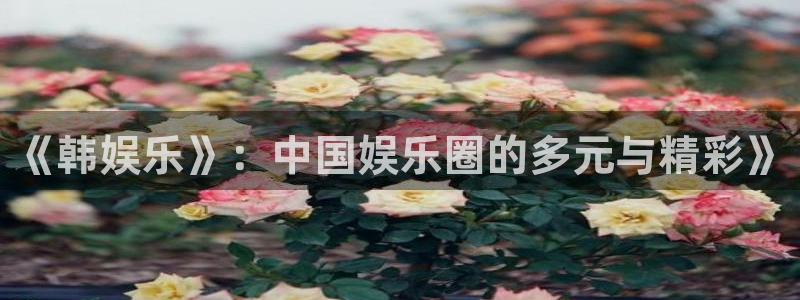 门徒娱乐3官网：《韩娱乐》：中国娱乐圈的多元与精彩》