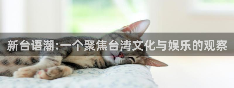 门徒娱乐2登录入口：新台语潮:一个聚焦台湾文化与娱乐的观察