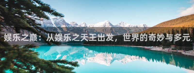 门徒娱乐4平台注册：娱乐之巅：从娱乐之天王出发，世界的奇妙与多元