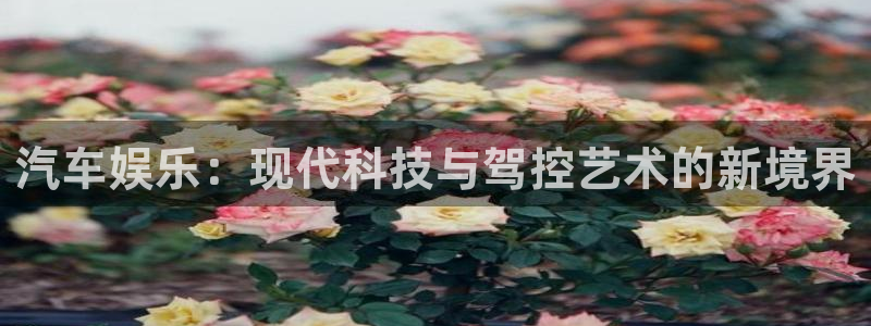 门徒娱乐账号注册入口：汽车娱乐：现代科技与驾控艺术的新境界