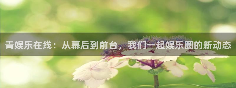 门徒娱乐体育凯捷平台招商