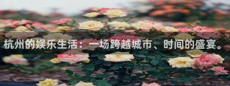 门徒娱乐3官网