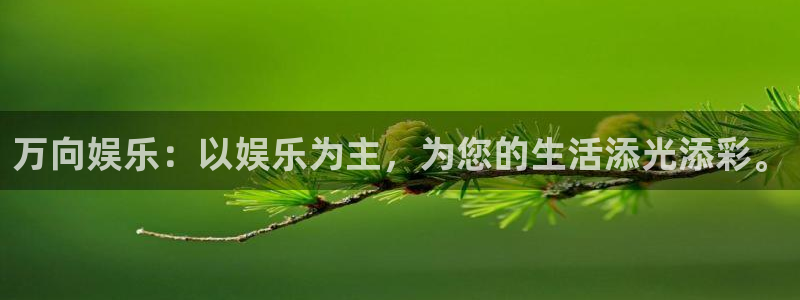 门徒娱乐游app