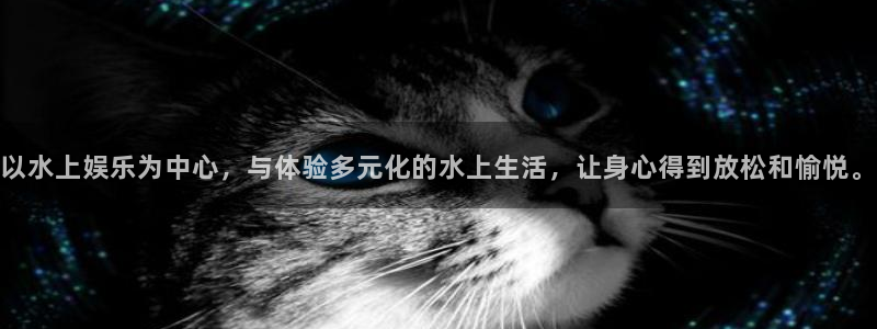 福建门徒娱乐机电股份公司