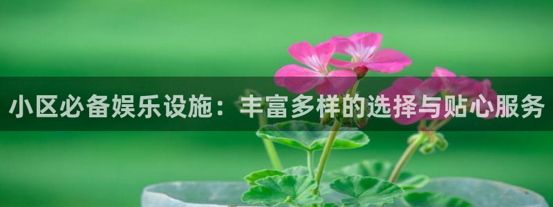 门徒娱乐app 是什么：小区必备娱乐设施：丰富多样的选择与贴心服务