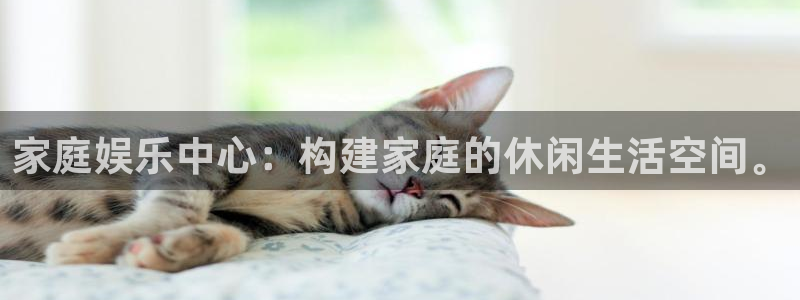 德国门徒娱乐集团：家庭娱乐中心：构建家庭的休闲生活空间。